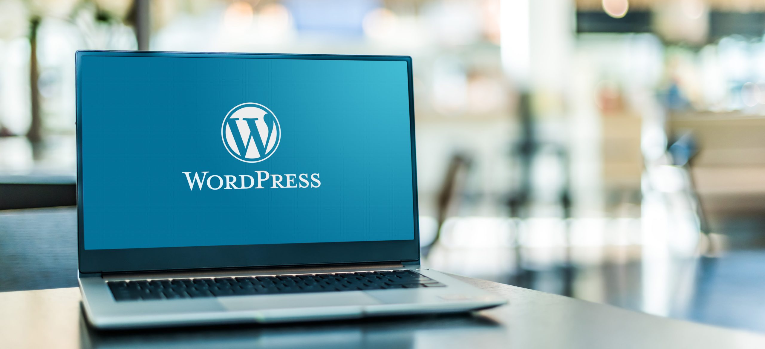 WordPress Development Services in Uganda